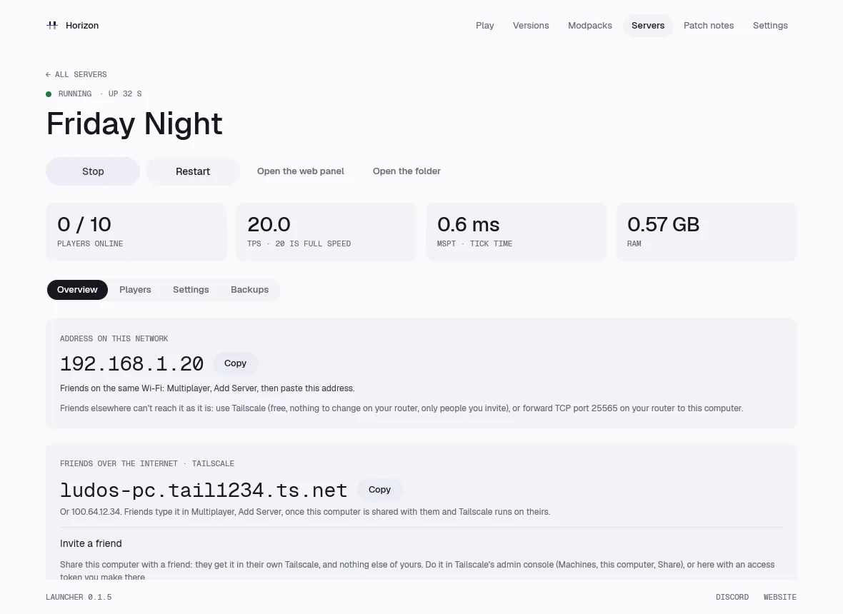 A running server's page in the launcher